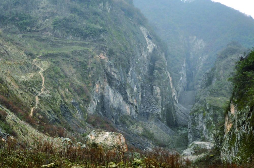 科学家发现6.3亿年前蘑菇祖先