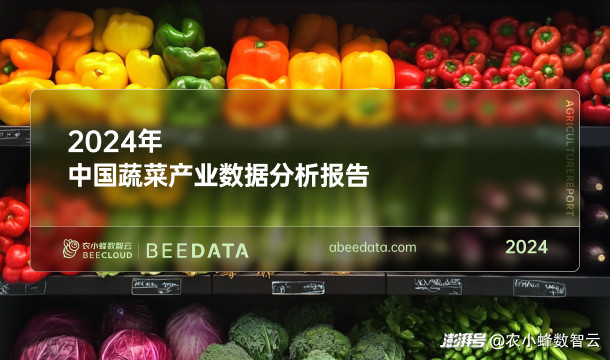 2024年中国蔬菜产业数据分析简报