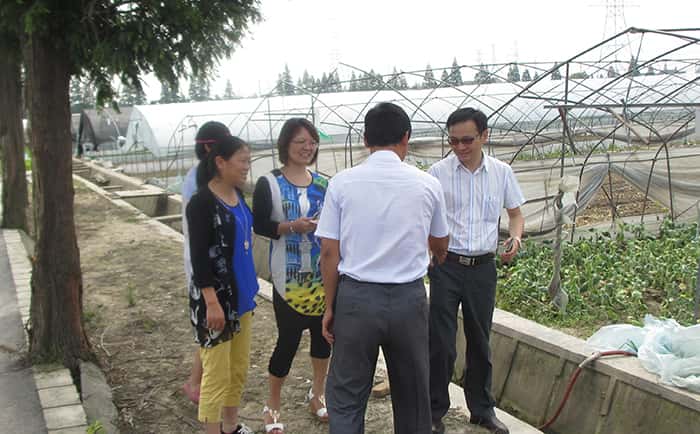 上海市农委主任孙雷莅临我协会理事单位上海种都调研种源发展