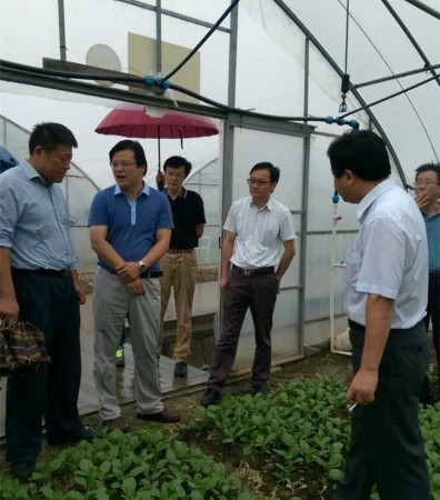 20150915史明扬升蔬菜基地考察2