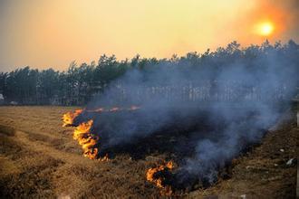20151010秸秆处理