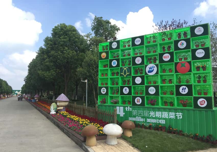 光明蔬菜节