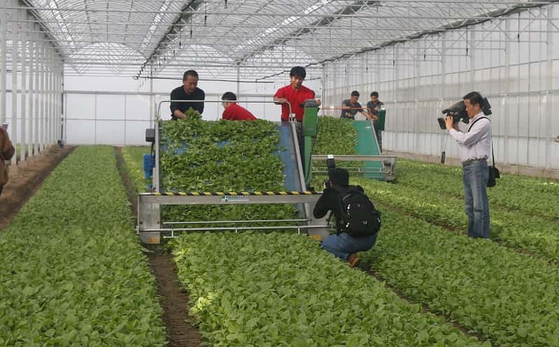 20151016星辉机械化现场会 （调整图）