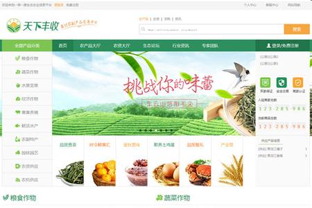 1202“一带一路”农业与食品交易信息平台上线