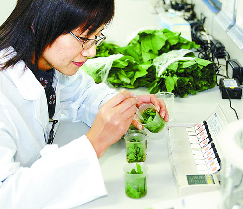 121农产品质量安全例行监测信息