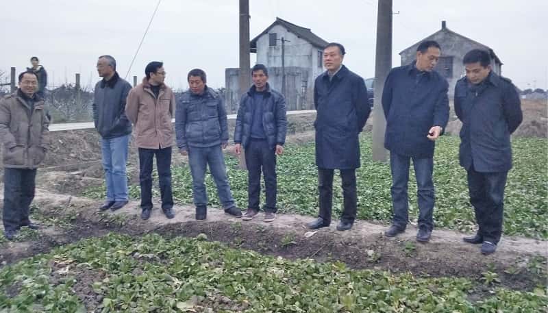 2016-1殷欧等视察灾情