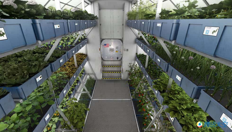 我国首次在太空栽培出新鲜生菜 | 上海蔬菜食用菌行业协会