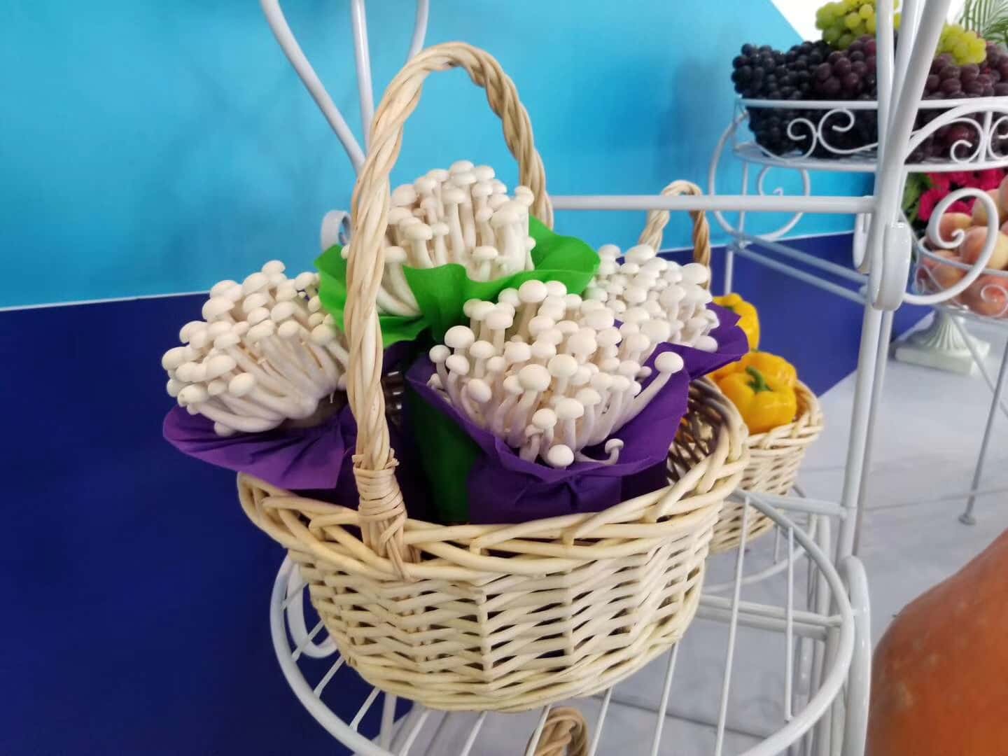 协会秘书处拜访了副会长单位及会员单位-图片2