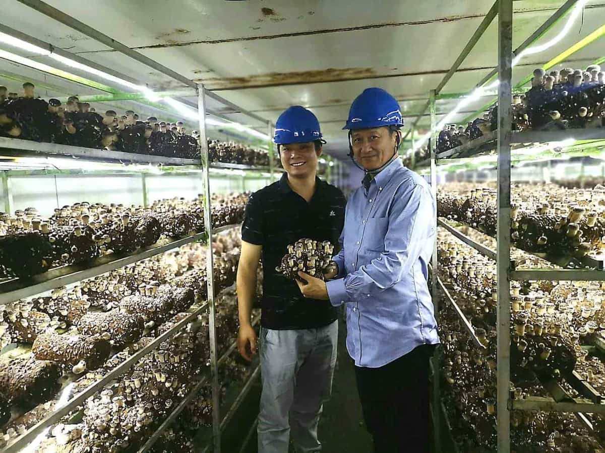 吴会长带队秘书处全体人员赴青浦区多家会员单位调研