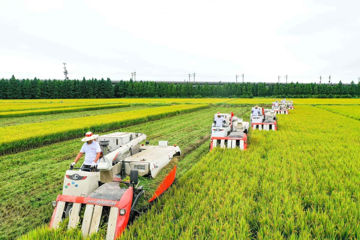 2321ab200d134b5aad0f0580c5003809