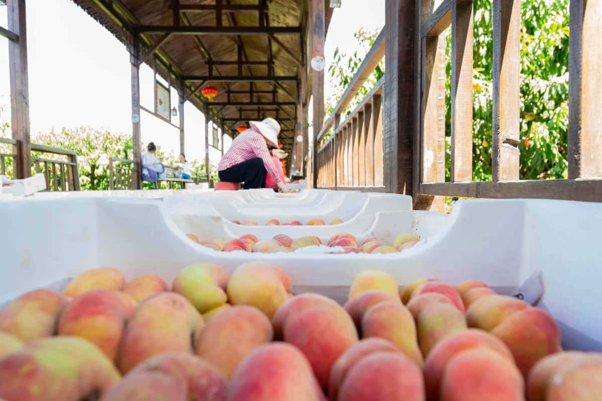 04fb4362171a4597818309eb61ececac